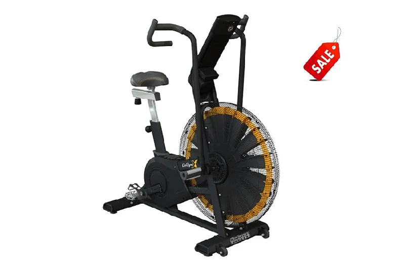 Octane Fitness AirdyneX Exercise Bike