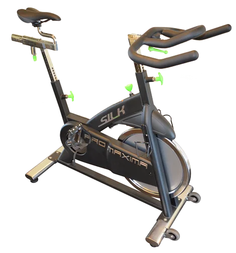 Promaxima 77100 Indoor Bike