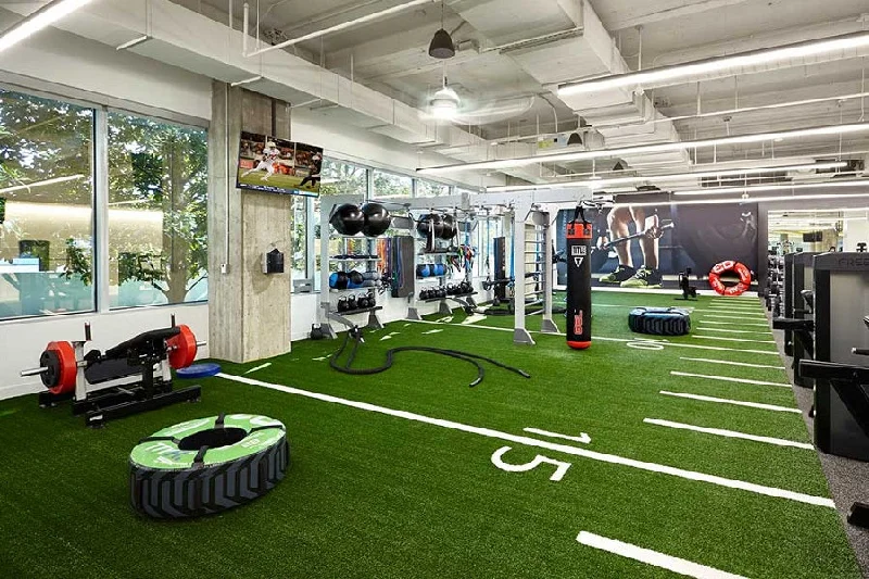 Warrior Sports Performance Turf